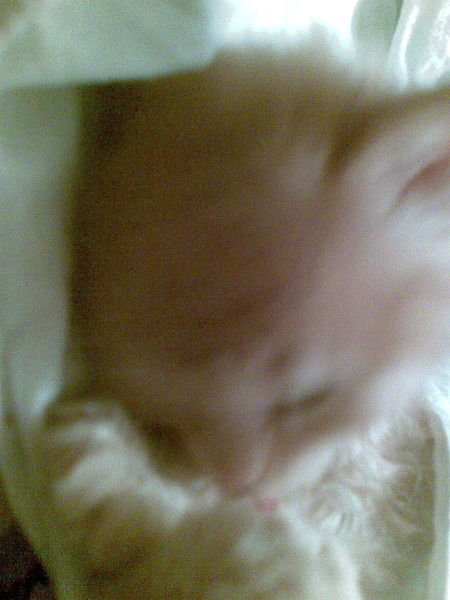 Марина Гизатуллина