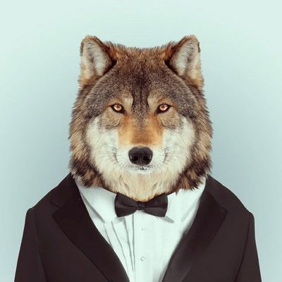 Андрей Мудрый