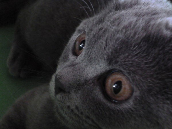 Жанна Джумадильдинова