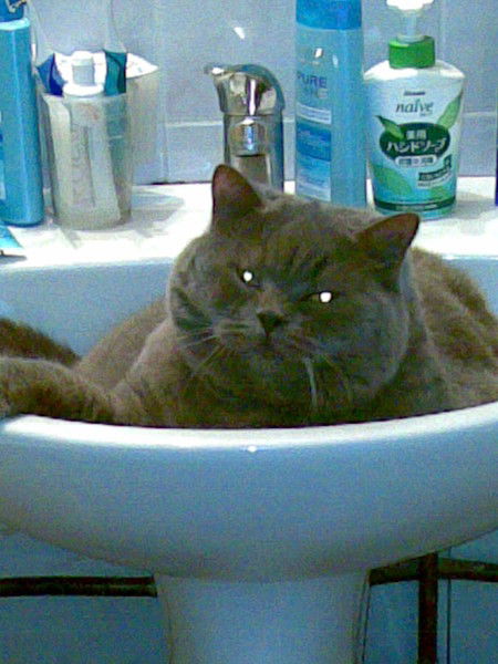 Виктоория Родионова