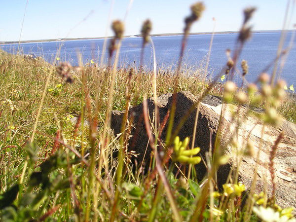 Эльвина Бобрышева