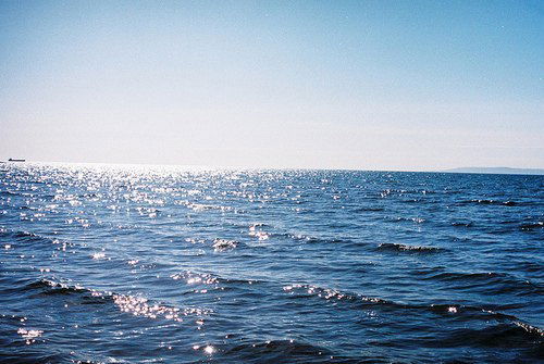 Андрей Сколков