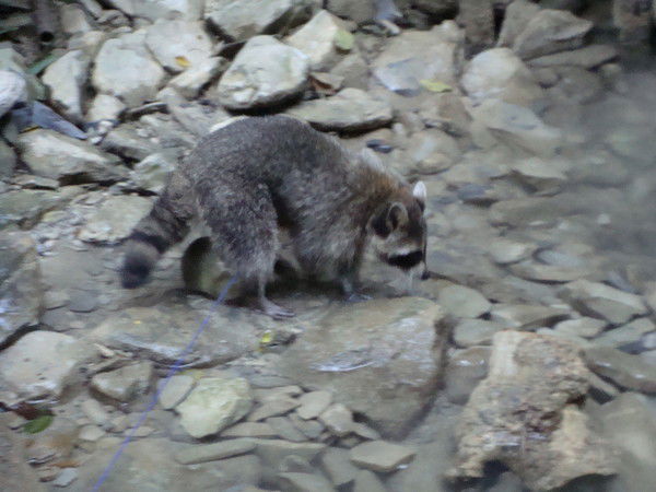 Наталья Козлова
