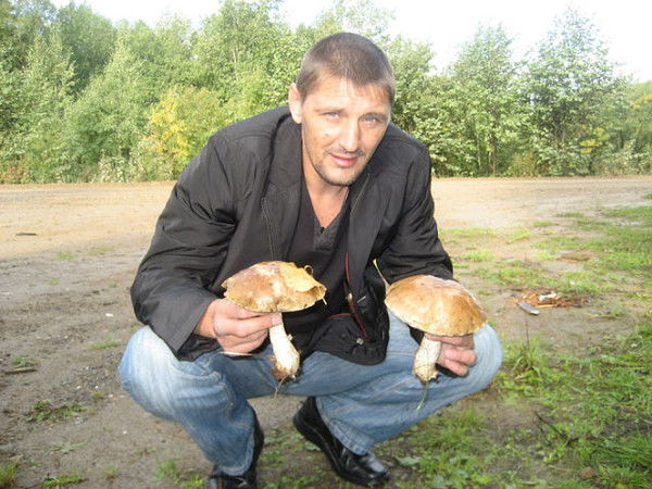 Янки Додсон