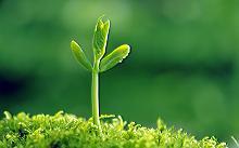 Тоо Ростбиофарм