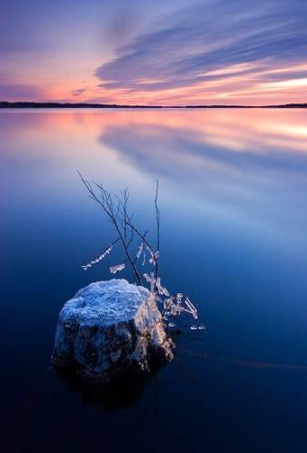 Лилия Кобзарь