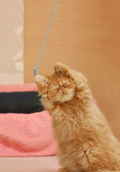 Вадим Владимиров