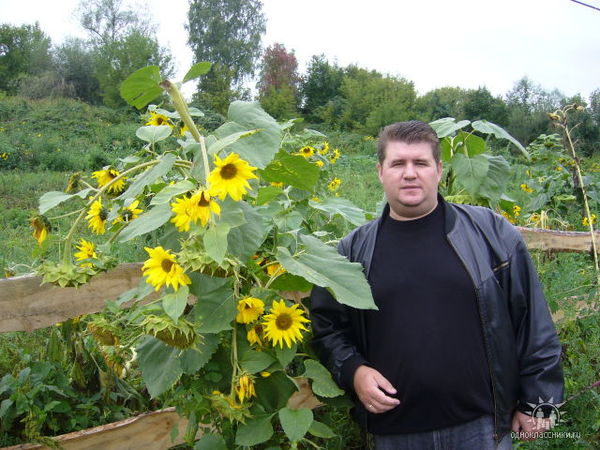 Михаил Старобинец