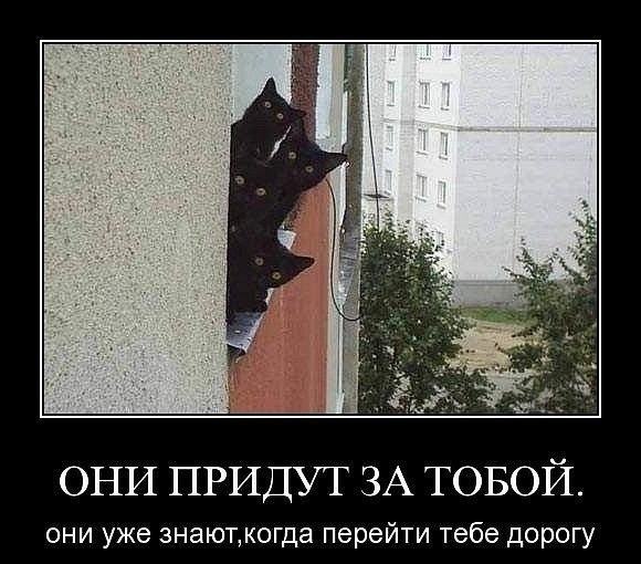 Галина Петрова