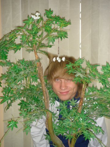 Рома Алёнин