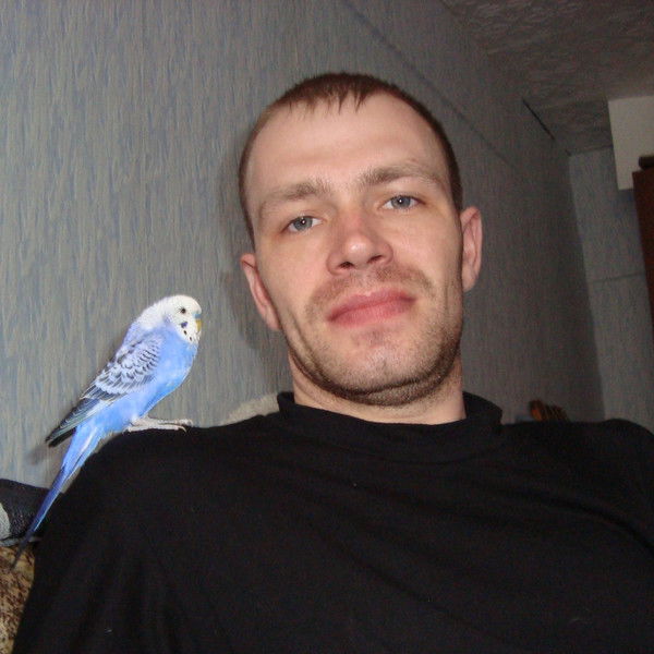 Антон Горбашкин