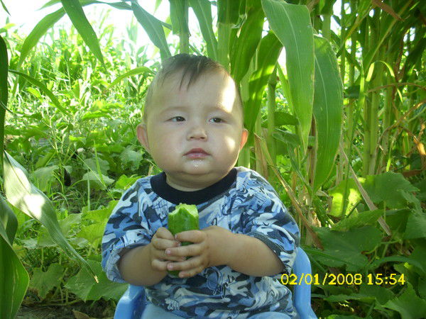 Сапарбай Отеев