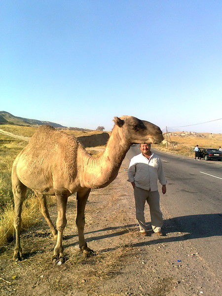 Назаров Нурулло