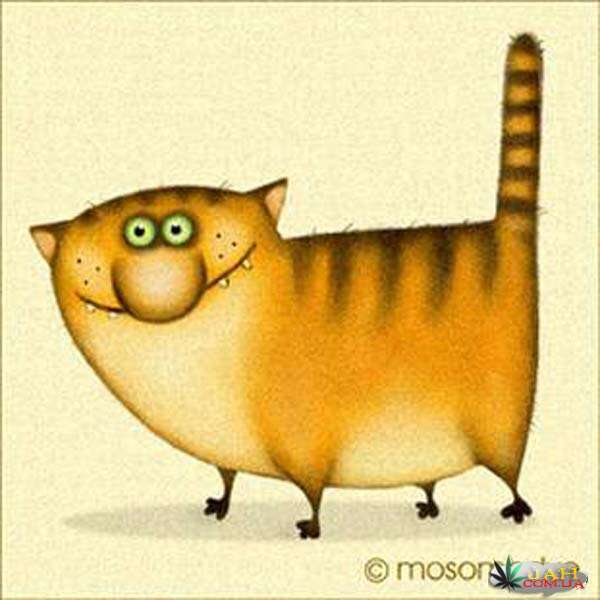 Артем Обрезанов