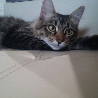 Оля Белохвостова