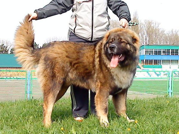 Юзиков Сергей