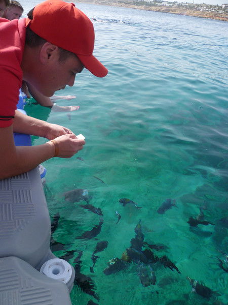 Ильдар Заляев