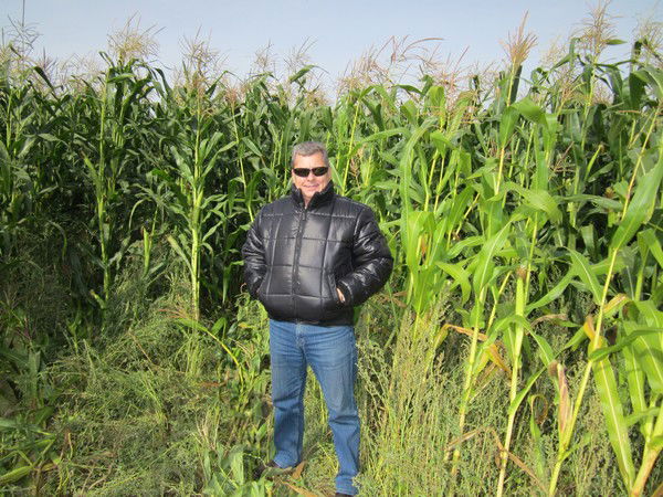 Анатолий Сергеев