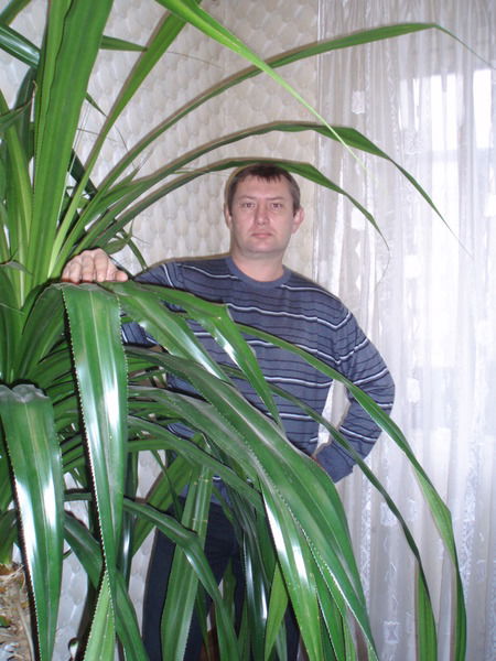 Руслан Черкашин