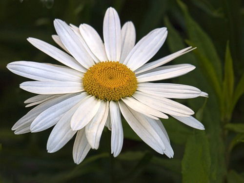 Евгений Прудаев