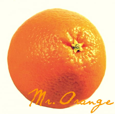 Игорь Романов