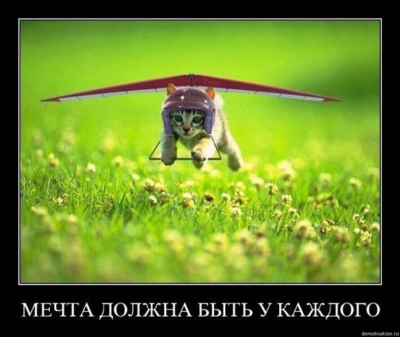 ====N.s.==== ========