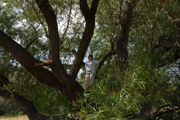 Галия Ибрагимова