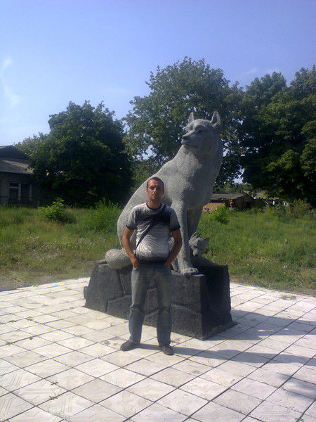 Александр Животов