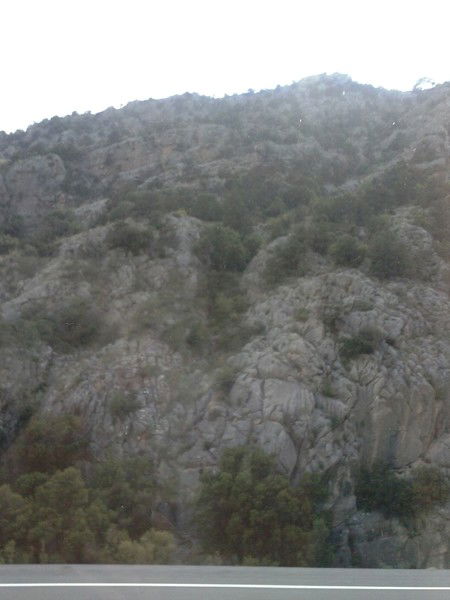 Анна Зубова