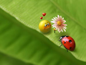 Наталья Лихачёва