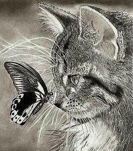 Татьяна Коновалова