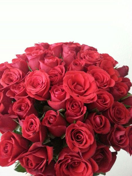 Ситдикова Резида