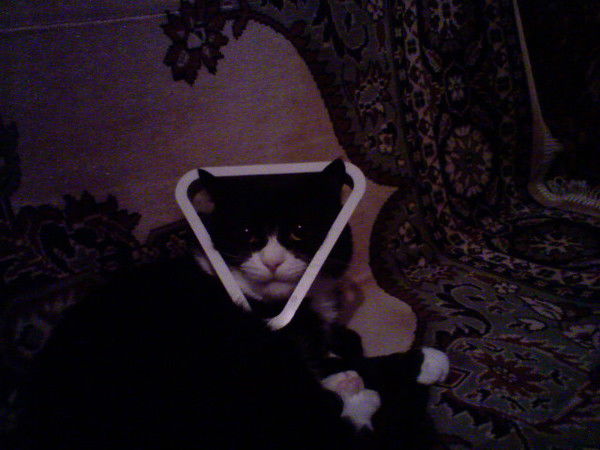 Ринат Апаков