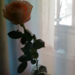 Оля Колмогорова