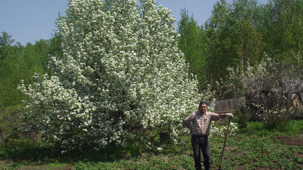 Владимир Ерилкин