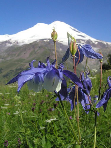 Антонина Язева