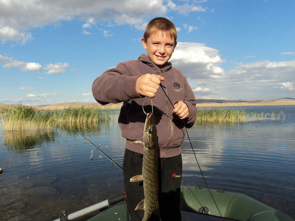 Алексей Дергулёв