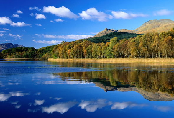 Тоо "алина-Т"