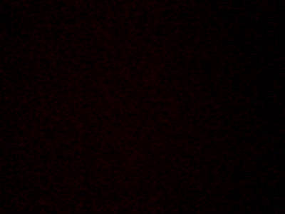 Наталья Баранова