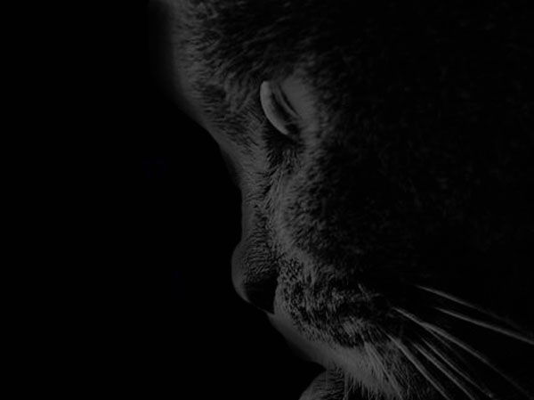 Артур Газалов