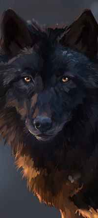 Андрей Сергеевич