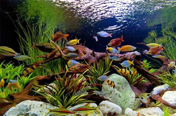 Женечка Мышляева