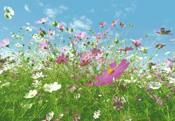 Ольга Хромцева