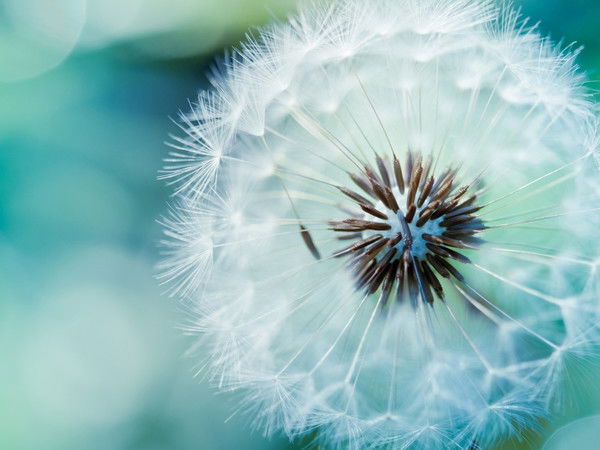 Юлия Харченко