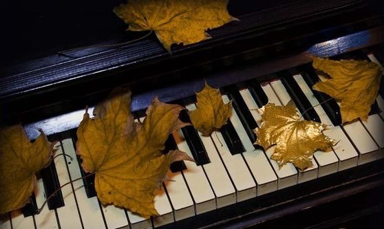 Евгений Лашков