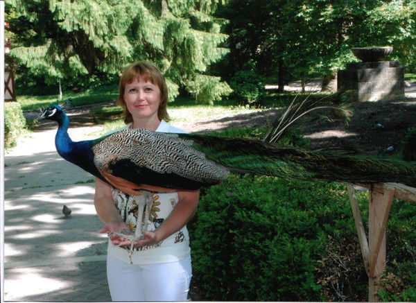 Галина Веденина