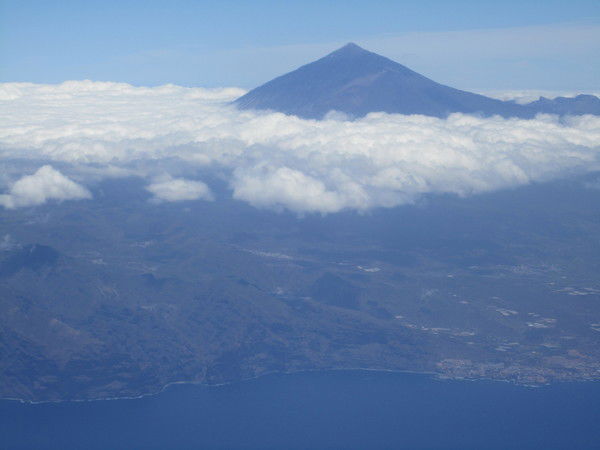 Лариса Долженко