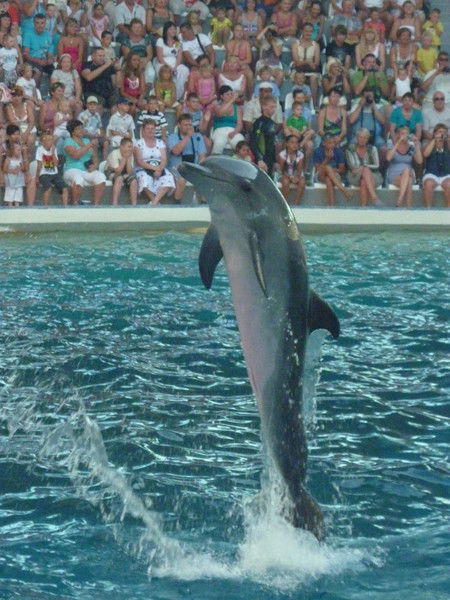 Любовь Андреева