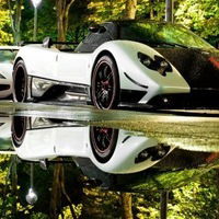 Вячеслав Васильков