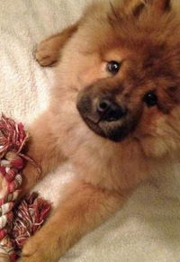 Лера Воробей